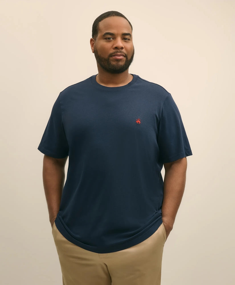 Big & Tall Supima® Cotton T-Shirt