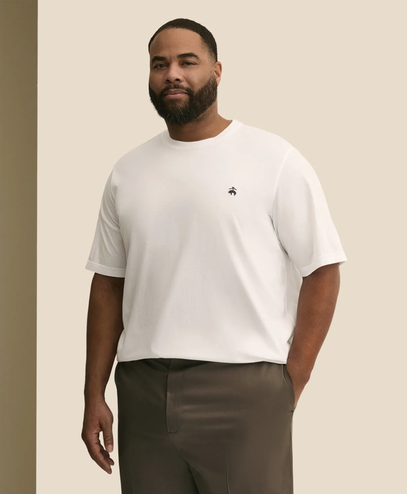 Big & Tall Supima® Cotton T-Shirt